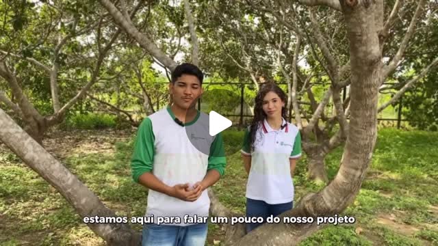 Projeto FEBRACE — Cajueiro e Combate à Seca